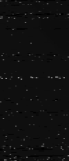 MTVZA-11.png